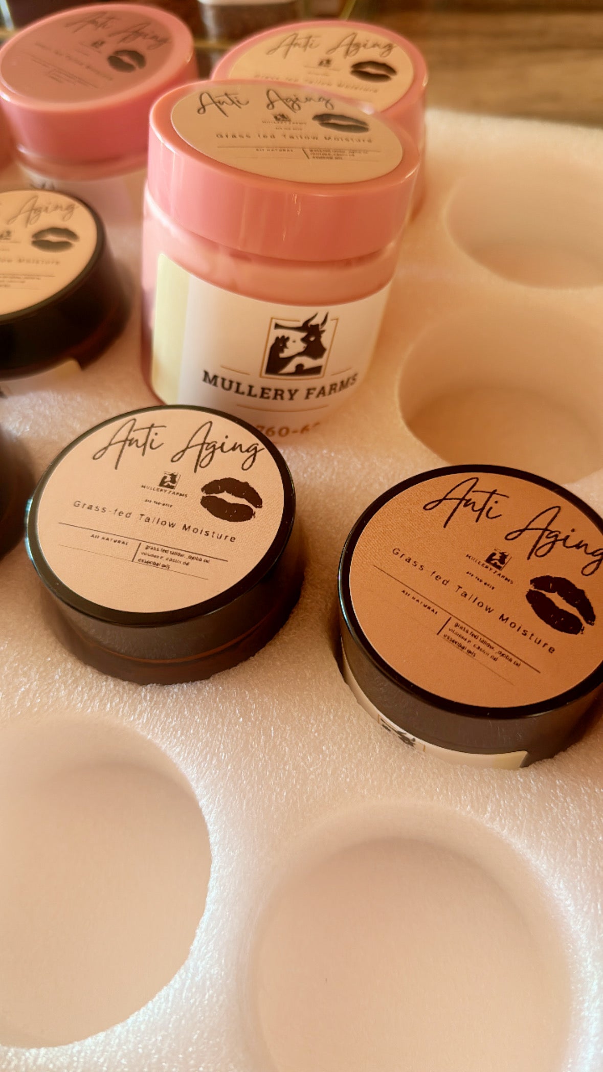 Anti-Aging