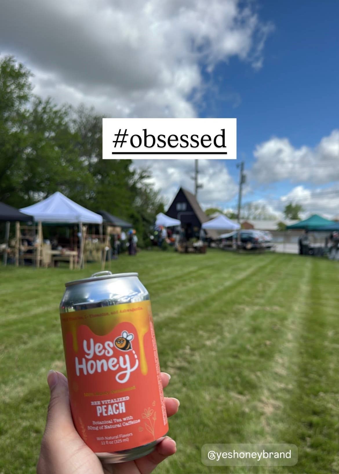 Yes Honey Peach Soda | Adaptogen | No Corn Syrup | Clean